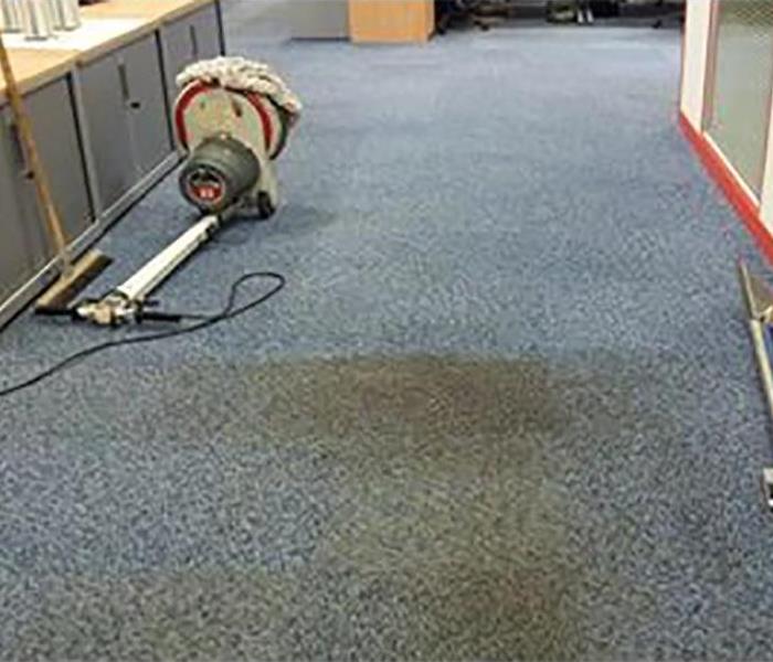 water damaged stained carpet